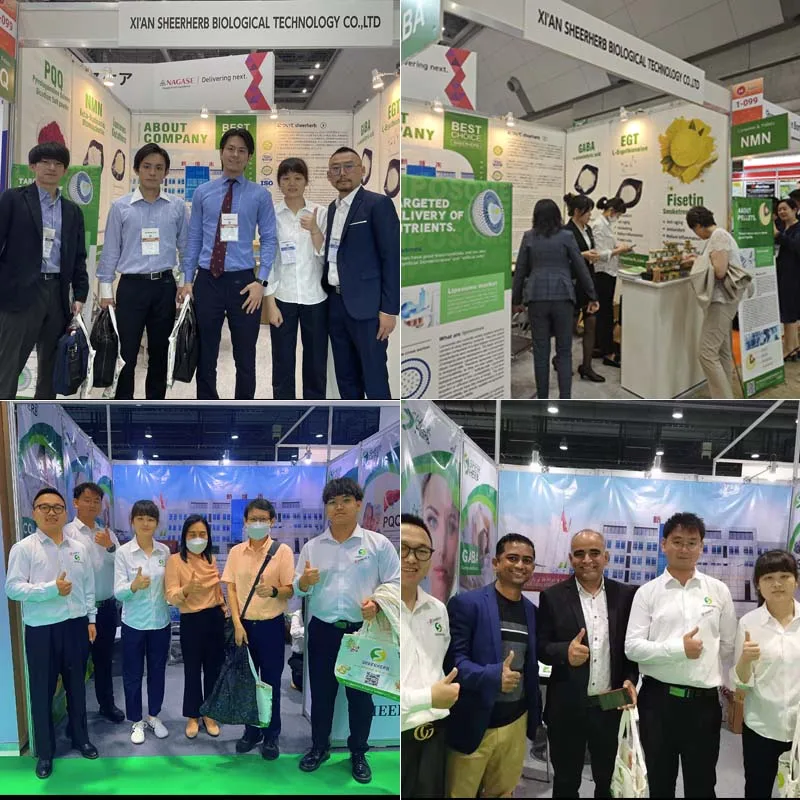 Tiens Cordyceps Extract Powder TCM Formula for Lung Health Bulk OEM Packaging for Global Distributors Cordyceps Capsules