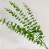 Eucalipto verde scuro