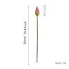 Single plastic lotus bud (pink)