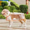 Impermeable transparente puro con ribete naranja.