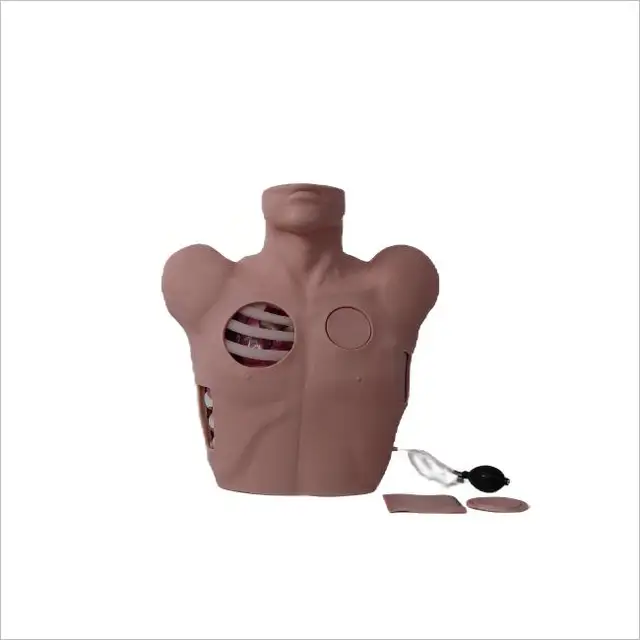 Medical Teaching Model Pleural Drainage Simulator GD/L67