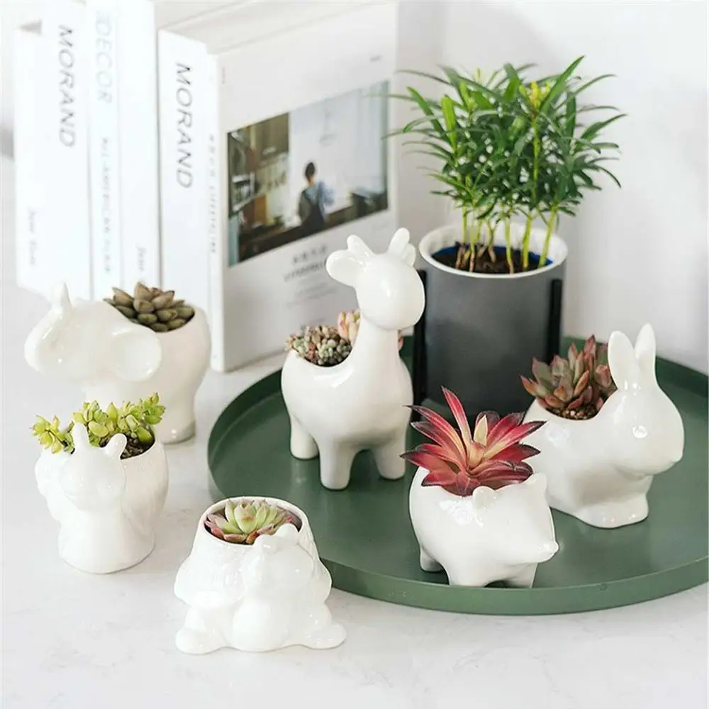Animal Succulent Planter Flowerpot for Home Office Home Decor Pot 