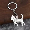 Silver cat