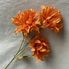 3 cabezas naranjas