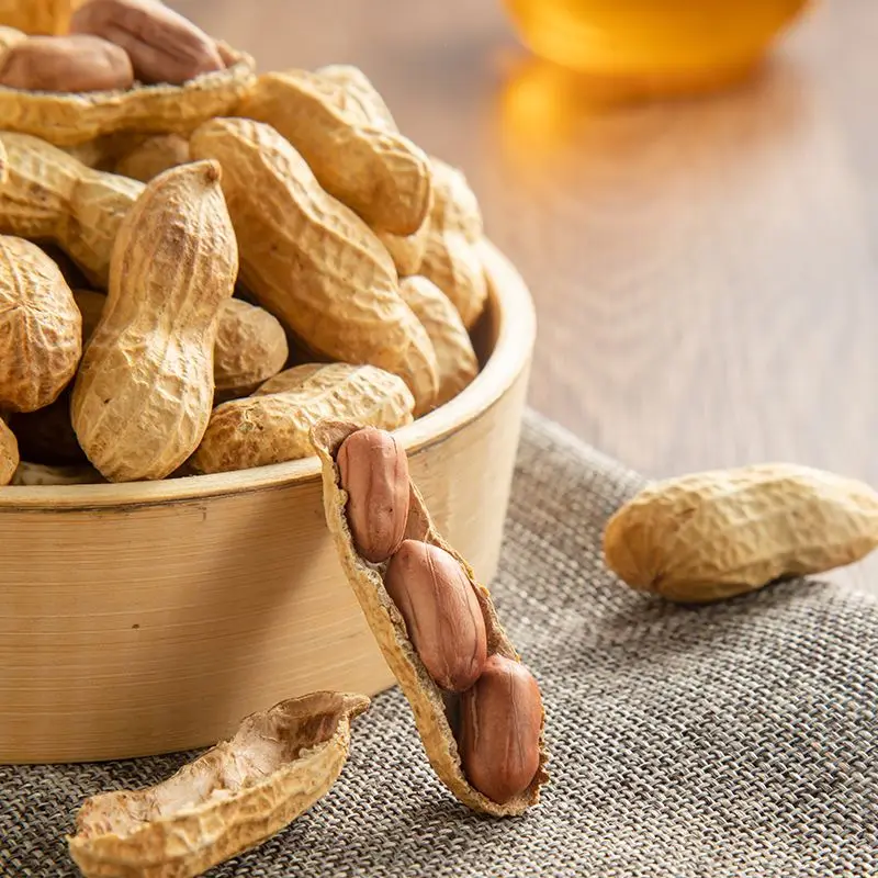 Factory Price Peanut in Shell Black peanuts Bulk Sale peanuts Best Price Factory Directly Sale