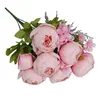 Rosa Primavera