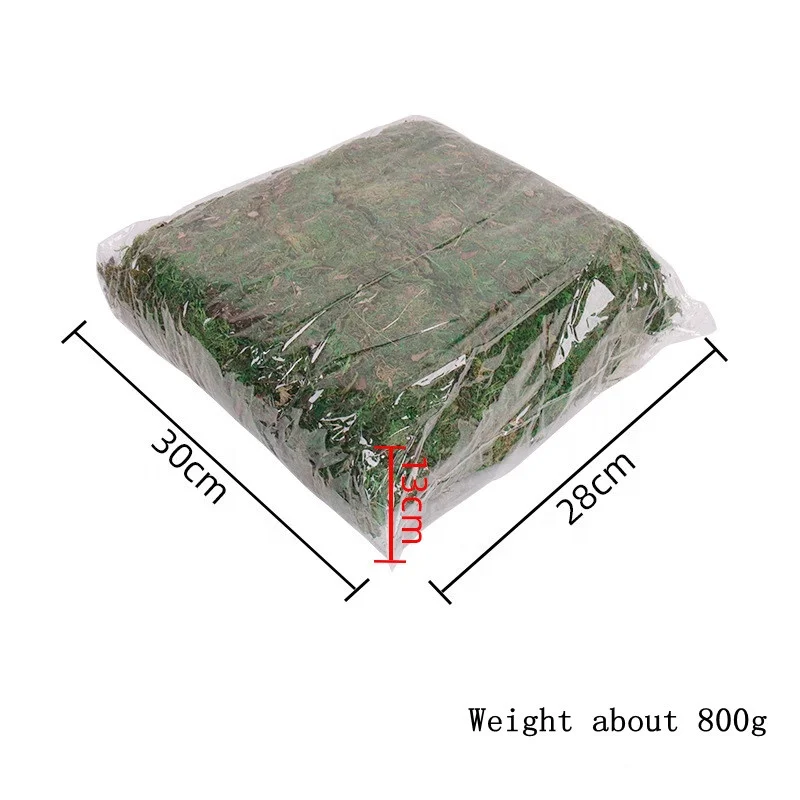 Wholesale Green Moss Real Natural Dried Moss for Orchid Vase