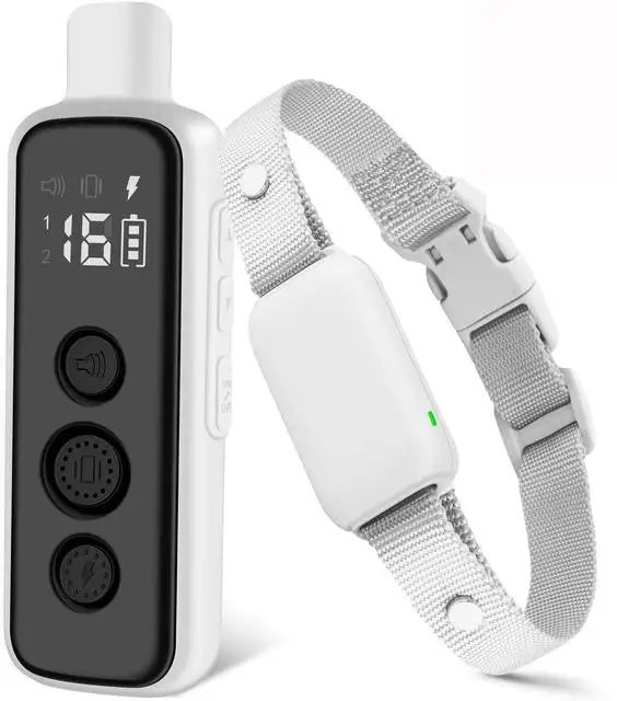 remote collar dog training