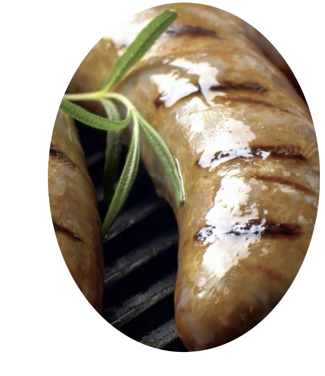 mixed phosphate/ water retention agent for ham sausage - buy st