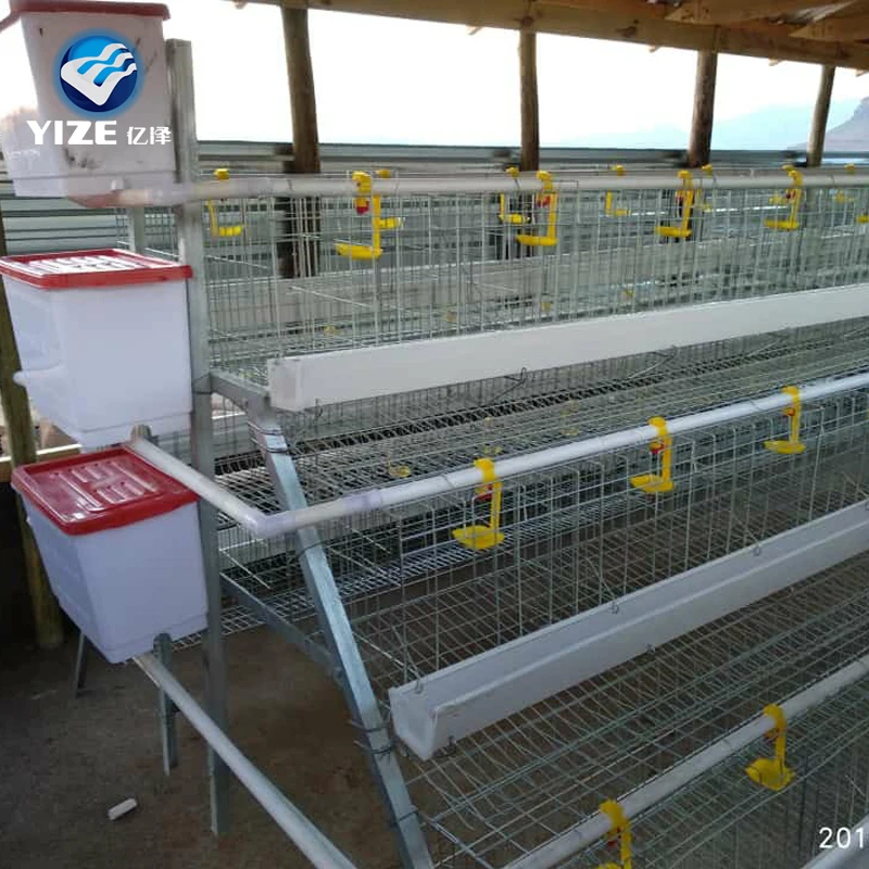 chicken  cage 01