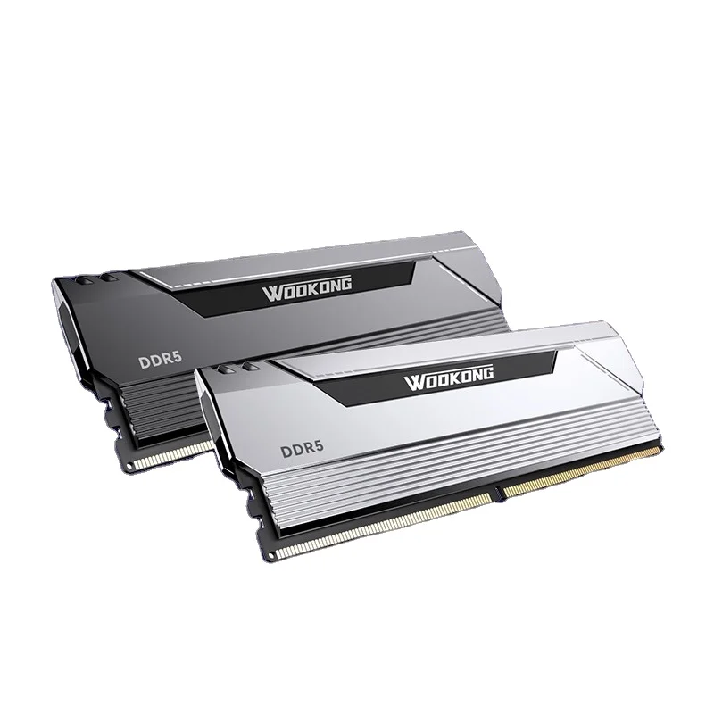 Biwin HX100 32GB (16GB x 2) DDR5 6400MHz ECC Desktop RAM - AMD