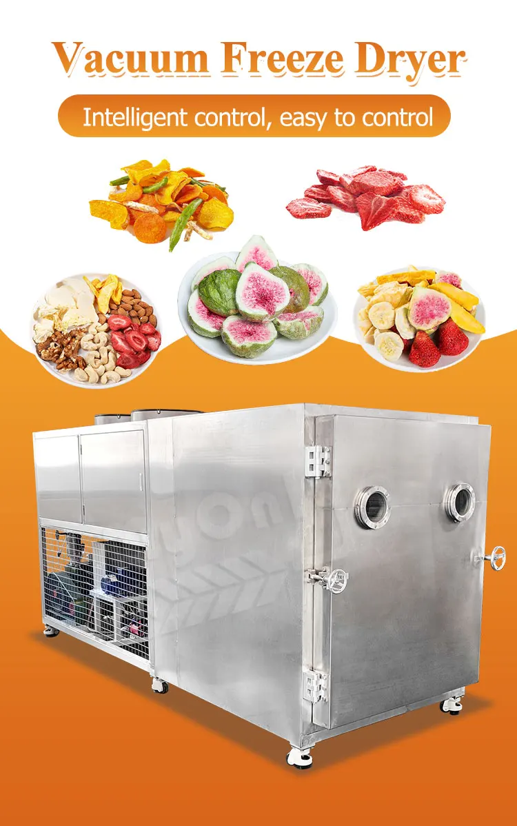 My Industrial Lyophilization Liofilizador Vacuum Food Freeze Drying Dryer Equipment Machine