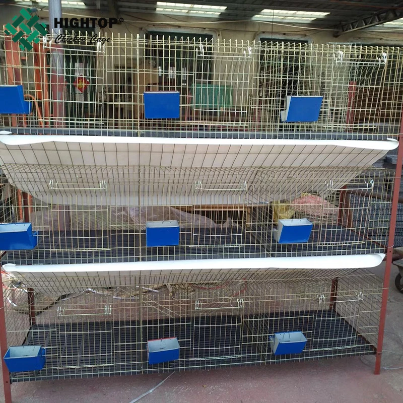 ウサギ　ケージ Amazon | うさぎ ケージ 屋根付き トレー付き ドア付き ウサギ