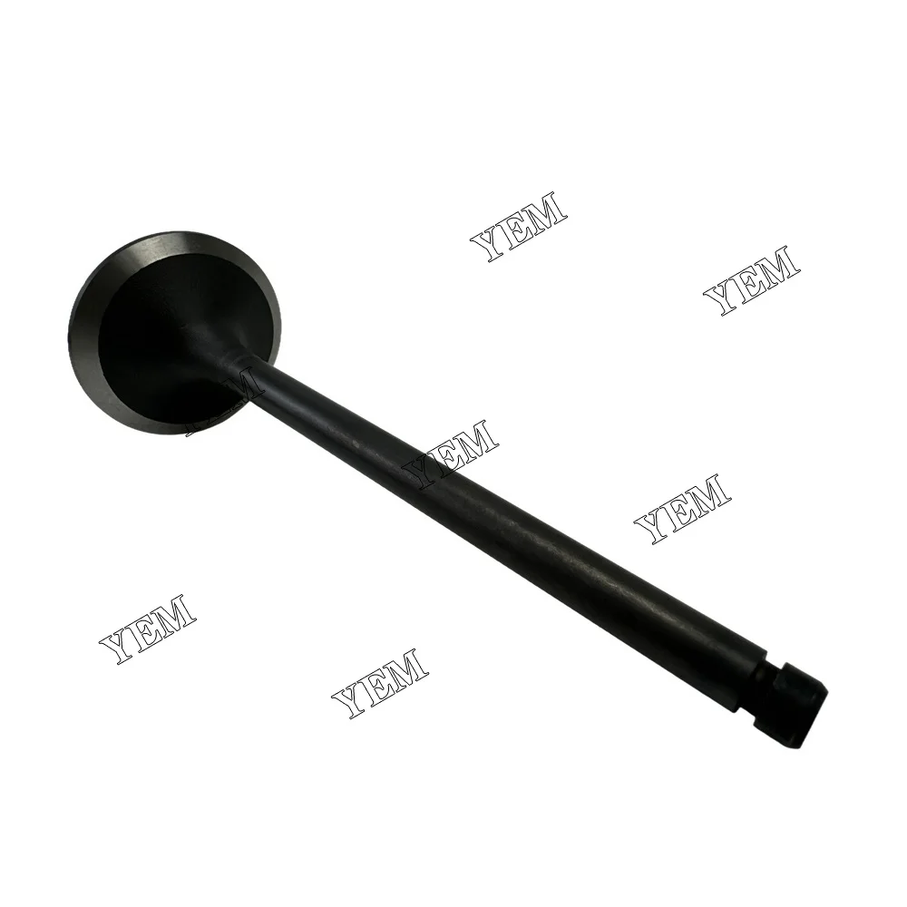 Intake Valve Fit for Mitsubishi S4F Engine 6