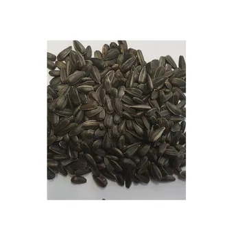 Large Size Black sunflower Seeds Wholesale Good Quality New Crop Spices Nuts Sunflower Seeds Packaging Raw Style