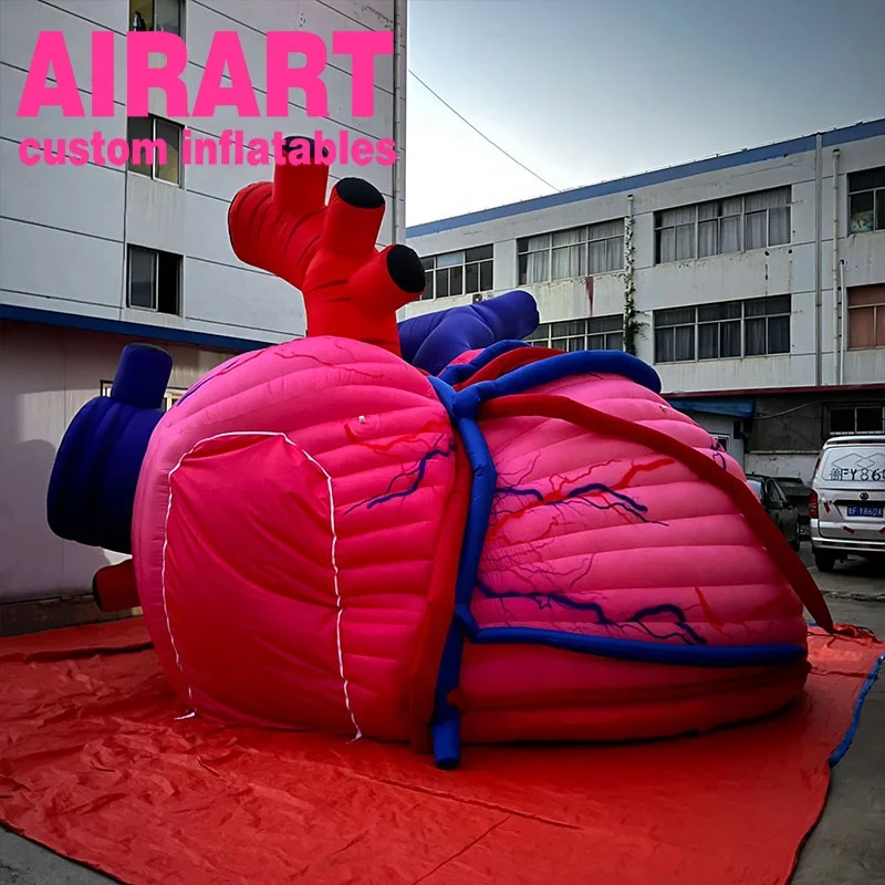 Giant Inflatable Human Organ Heart Inflatable Cardiac Inflatable Body ...