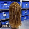 #1BT30