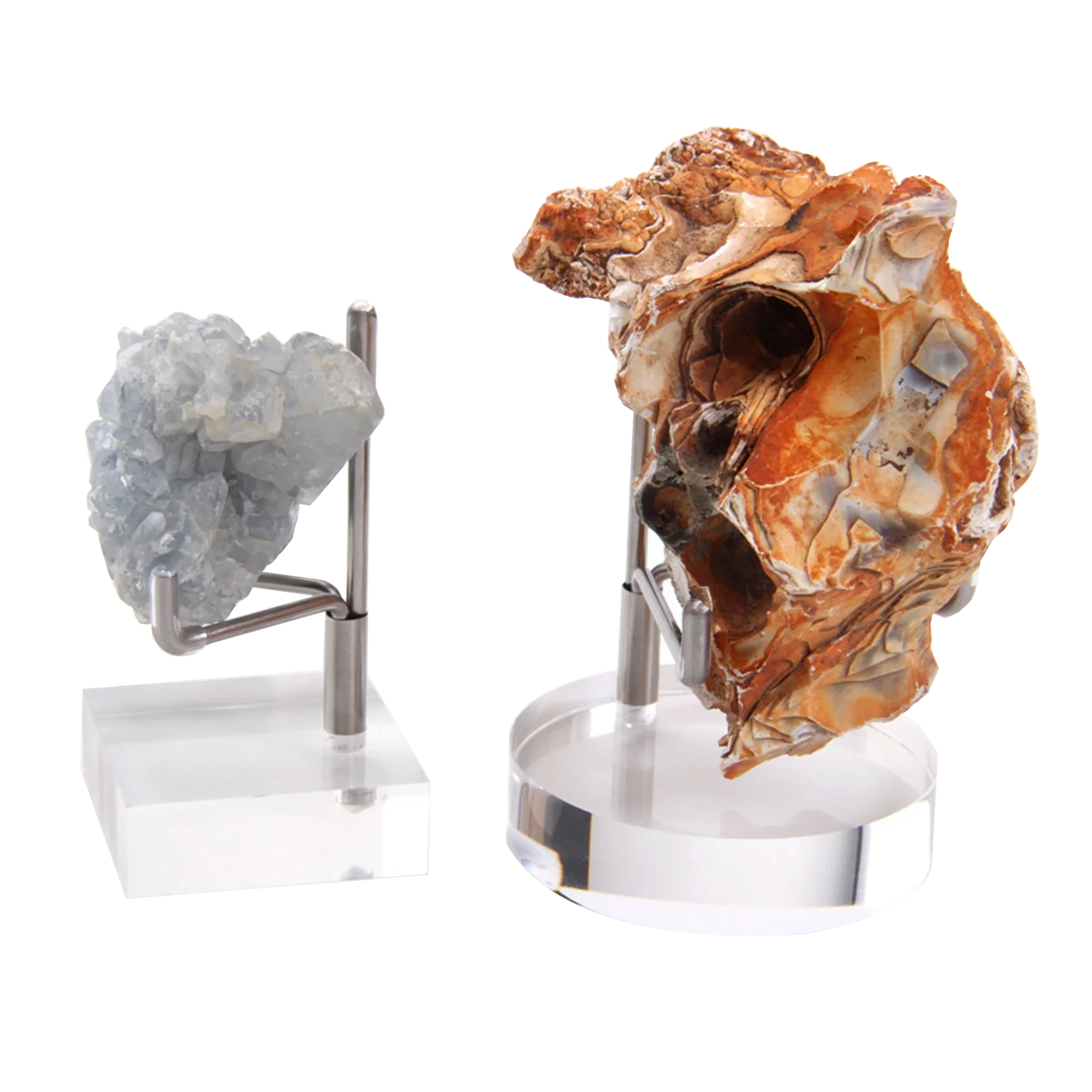 Slab Fossil Specimen Mineral Display Stand Metal Arm Acrylic Display Stand Easel