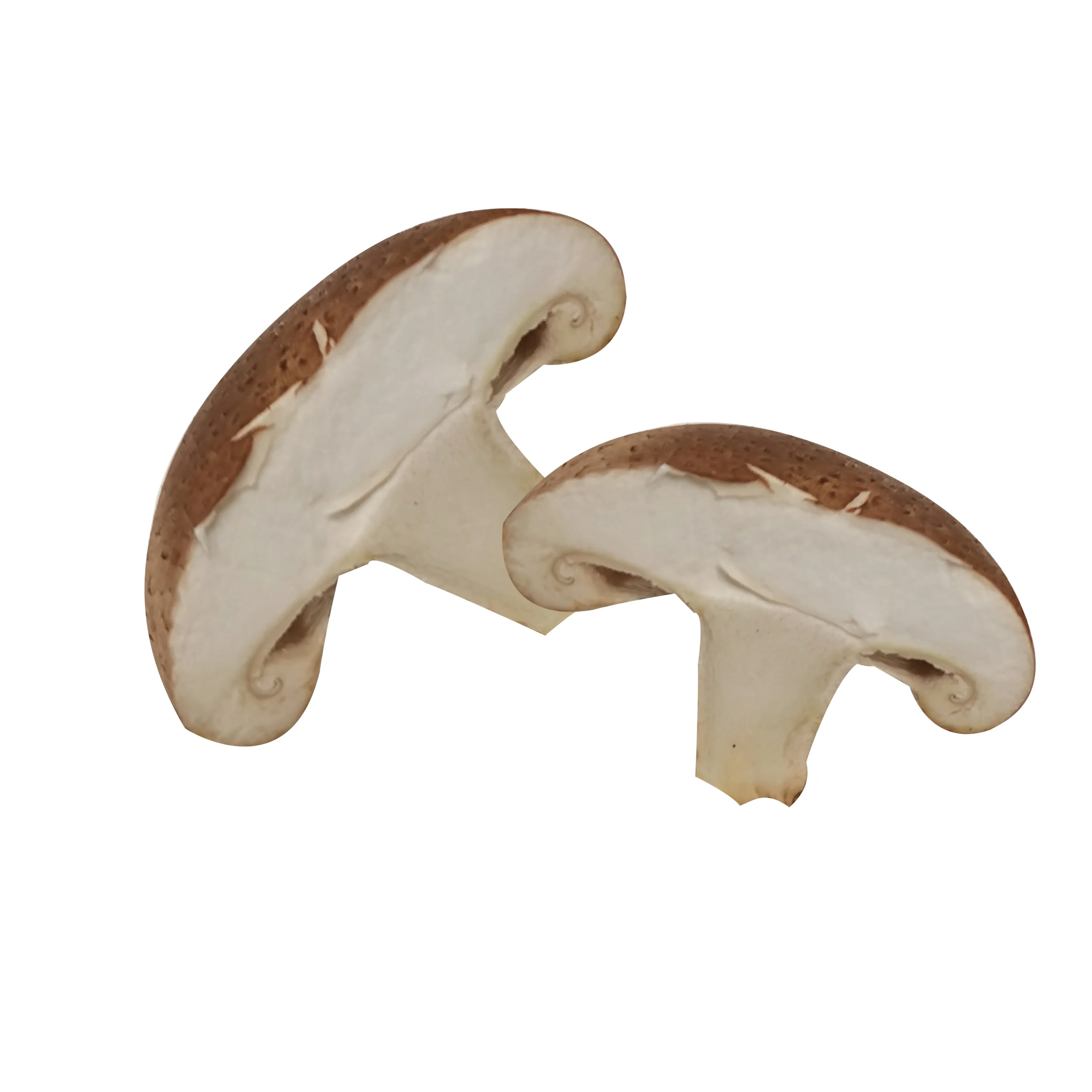 Свежий коричневый гриб шиитаке высшего качества