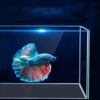 48G Large Crystal Clear Glass Aquarium - Ultra White Fish Tank for Coral Breeding, Reef Landscaping, Open Top Design 48G Large Crystal Clear Glass Aquarium - Ultra White Fish Tank for Coral Breeding, Reef Landscaping, Open Top Design