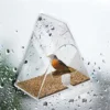 Transparente