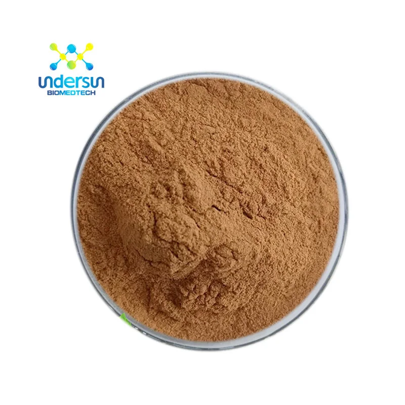 Органический порошковый экстракт грибов Львиной гривы P.E. Экстракт порошка полисахарида