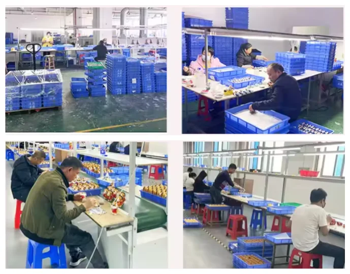 Shenzhen Xingman Industry Co., Ltd. 2