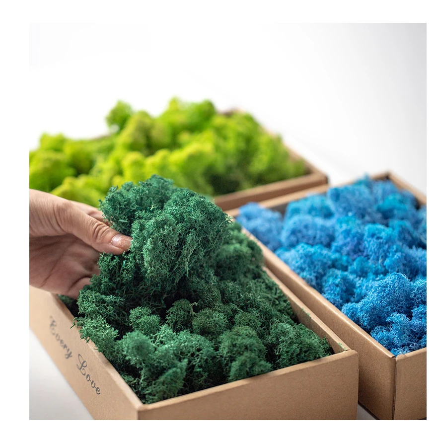 Muschio Stabilizzato Islandese 200g - 5 Colori Misti Per Decorazioni Fai Da Te - Foto 11