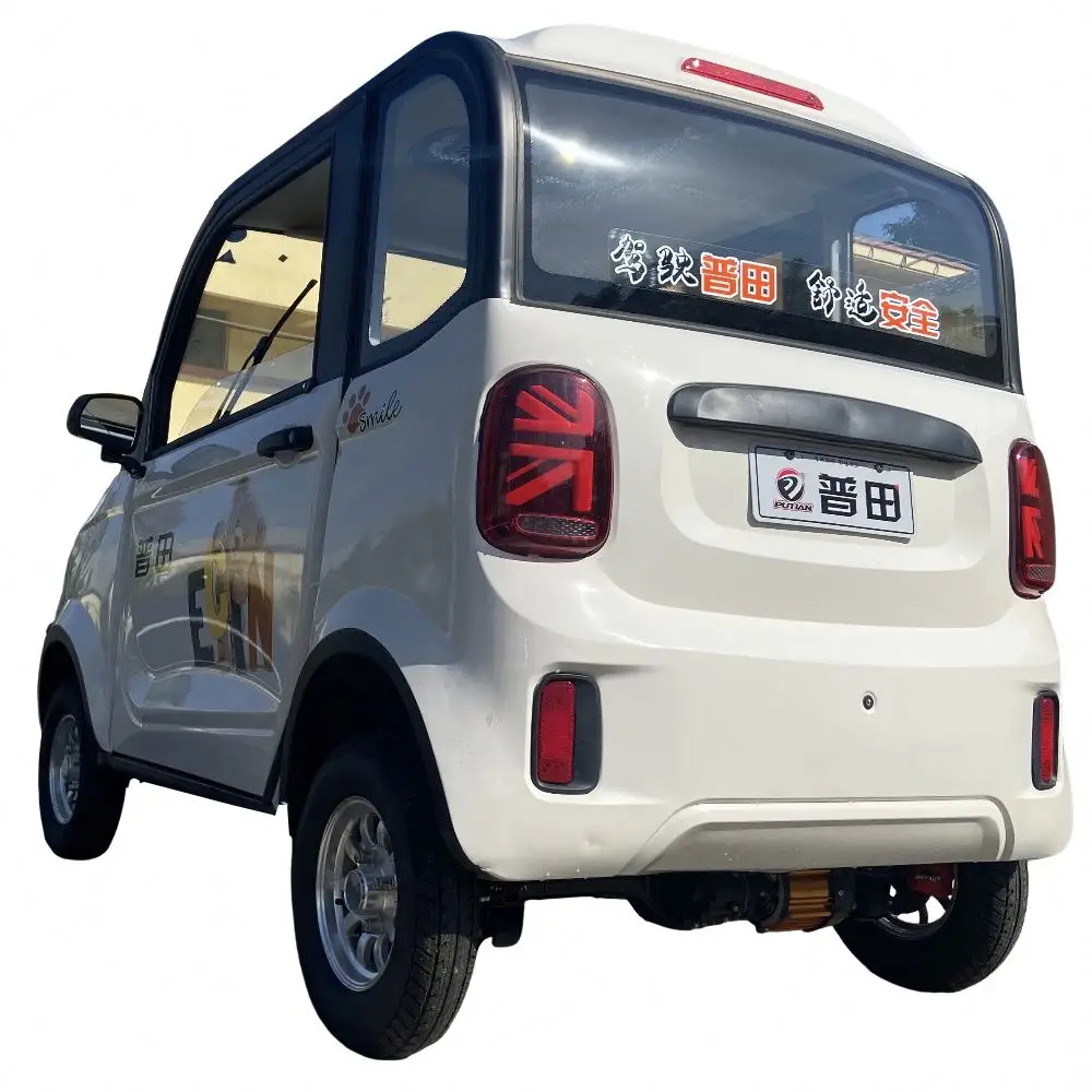 Brand New High Speed Adult Small Car for Disabled Person Electric Vehicle