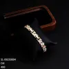 Multi-sl-09250004