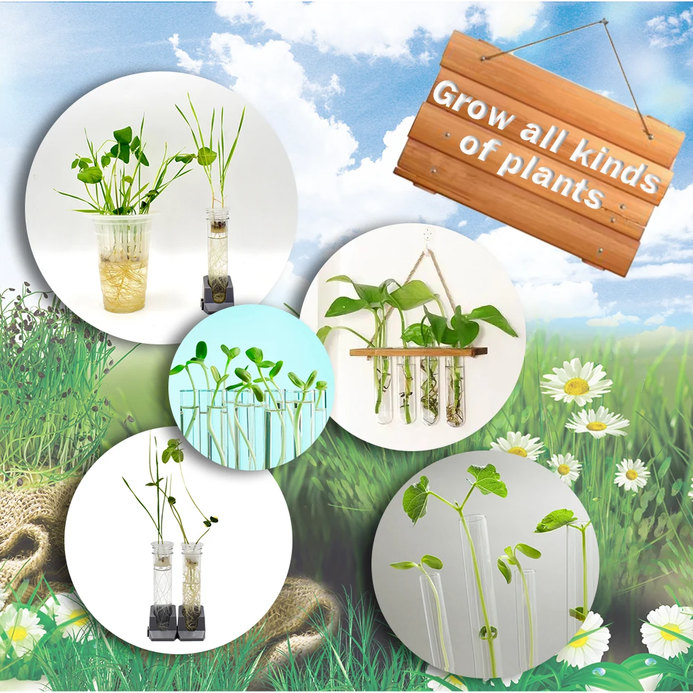Children STEM Plant Growing Botany Experiments Plant Earth Kit DIY Toys  Education Science Toys for Children to Learn Farming