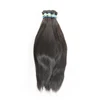 Marrone