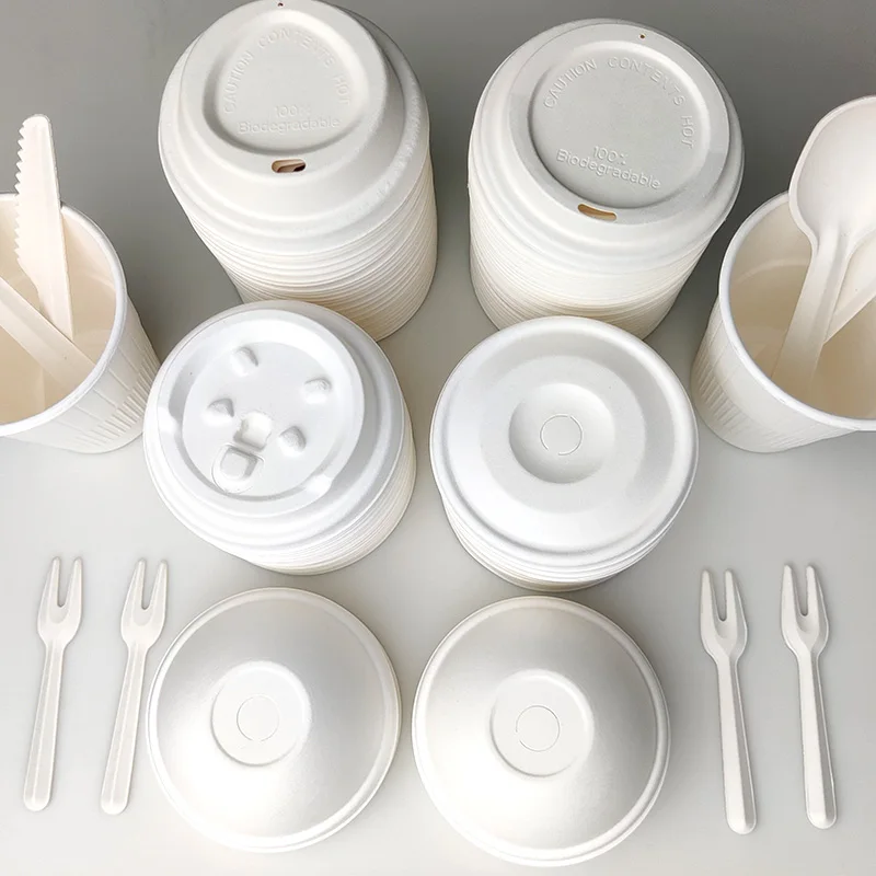 Pla Dome Envases Biodegradables Compostable Cover Bagasse Hot Drink Pulp Paper Cup Lid
