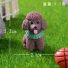 Color del Caniche