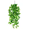 Pothos à 5 fourches