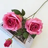 Rose Red