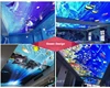 Soffitto dell'oceano