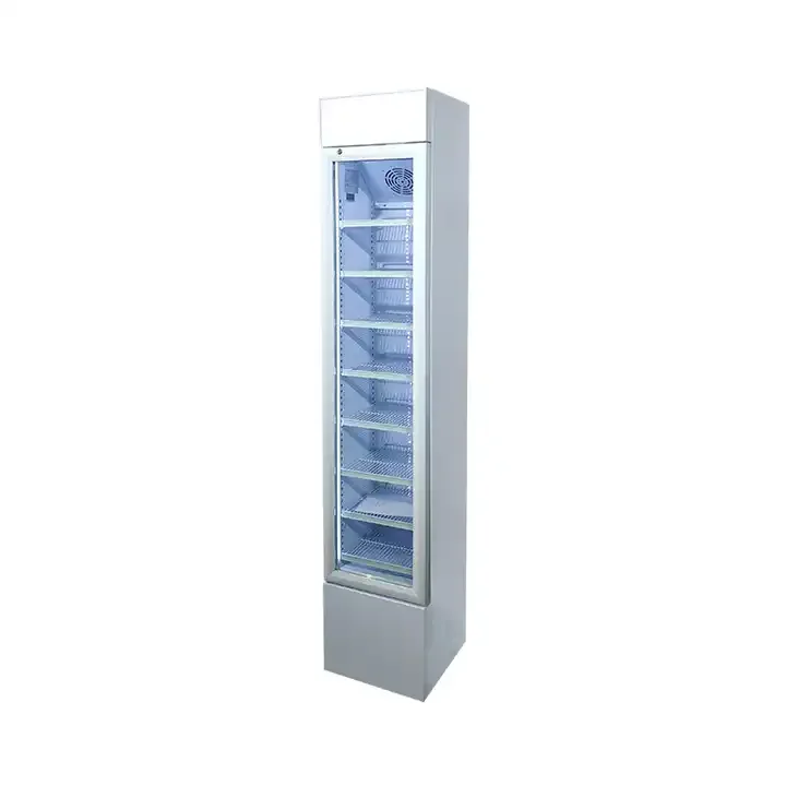 Fenfei Small Commercial-Sized Refrigerators  Sales Igloo Korean Island Style Custom Dover Danone Design Available Small