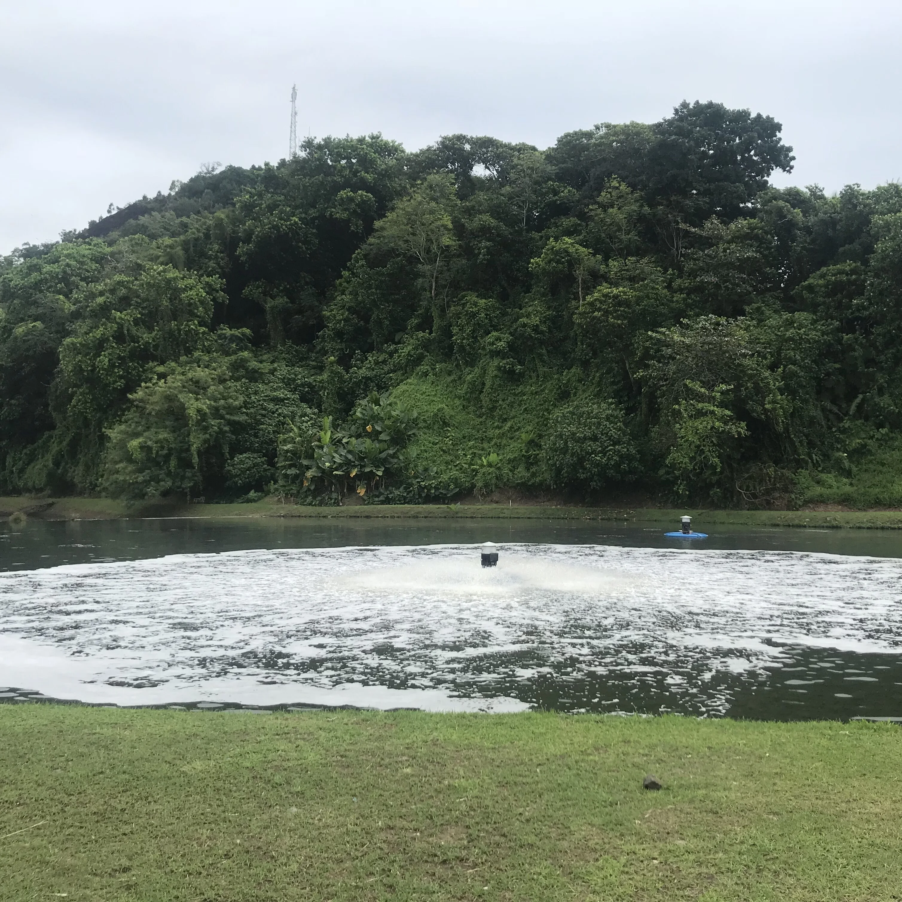 SAR Surface Floating Aerator Particularly Suited to Buffer Tanks, Activated Sludge, SBR, MBR and Aerated Lagoons.