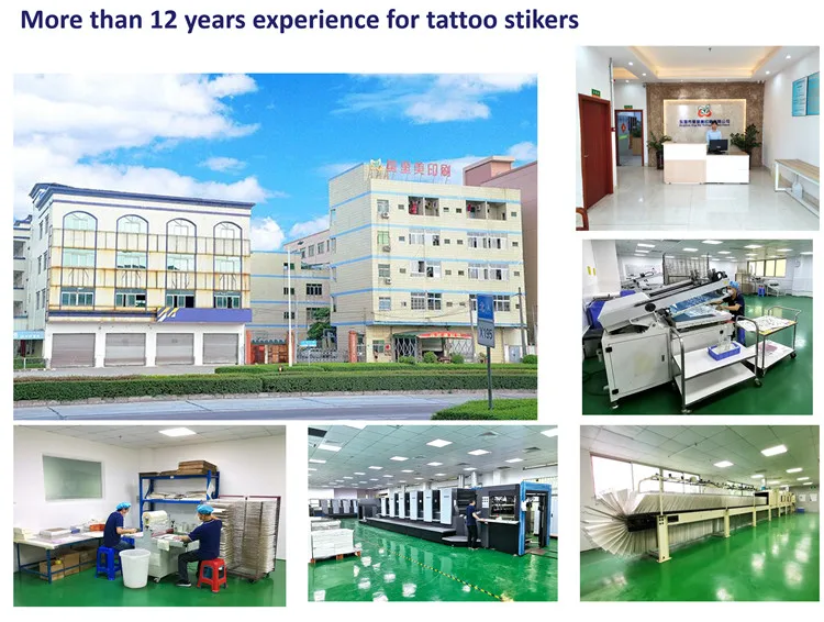 Hot Selling Beauty Baby Hair Edges Tatto Temporary Makeup Tattoo Multiple Design Baby Hairlines Tattoo Buy Tattoo Hairline Temporary Tattoo Hair Edges Tatouage De La Racine Des Cheveux New Arrival Tattoo Hair