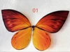 Colorato 9