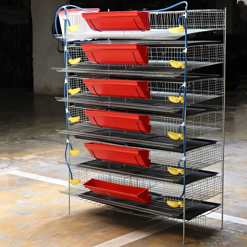 Poultry Quail Layer Cages for Quail Birds Farming Cage for Quail Hens for Egg Production
