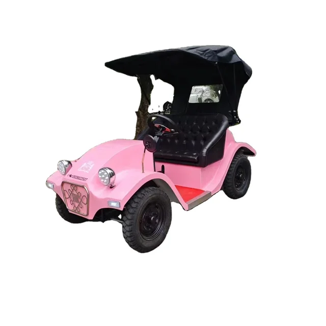 2 Seater Cheap Price Small Electric Golf Carts