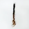 1B27OMBRE