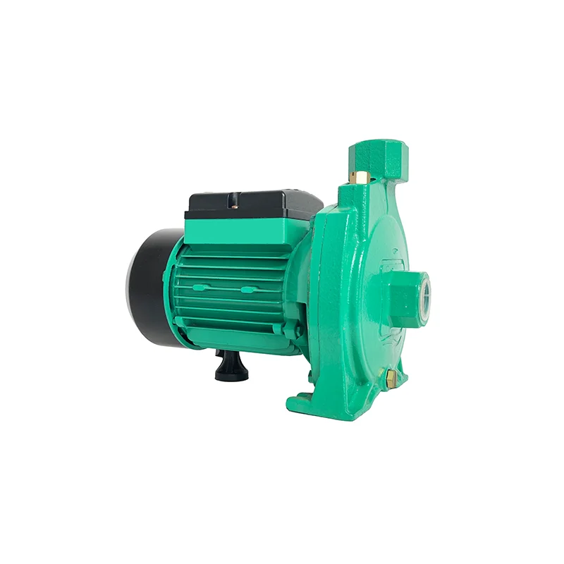 1hp Standard Clean Water Pump High Flow High Pressure Electric