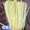 Alambre plano de 5 mm [Wow Yellow] 0,5 kg