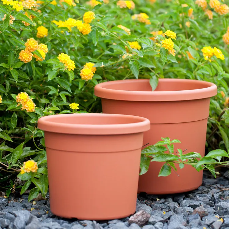 Wholesale Wholesale Terracotta Pots Planters Size Terracotta Plastic Outdoor Pour Vert Matte Cactus Plant Pot