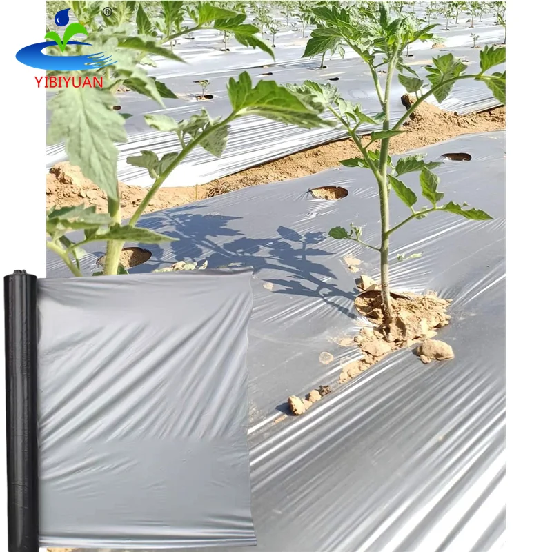 Mulching Paper for Agriculture Outdoor 30 Mic Silver Black Strawberrys Greenhouse Agricultural Plastic Mulch Film