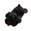 Cachorro Negro