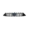 Lower Grille